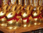chocolate bunnies.JPG