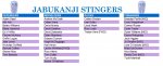 Jabukanji Stingers Team List 2020.JPG