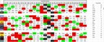 Mids Draw 2019.JPG